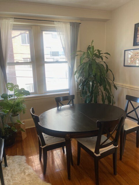 Building Photo - 785 Mount Auburn St