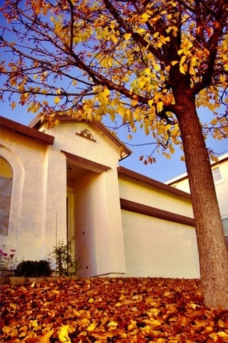 Building Photo - 111 Lembi Dr