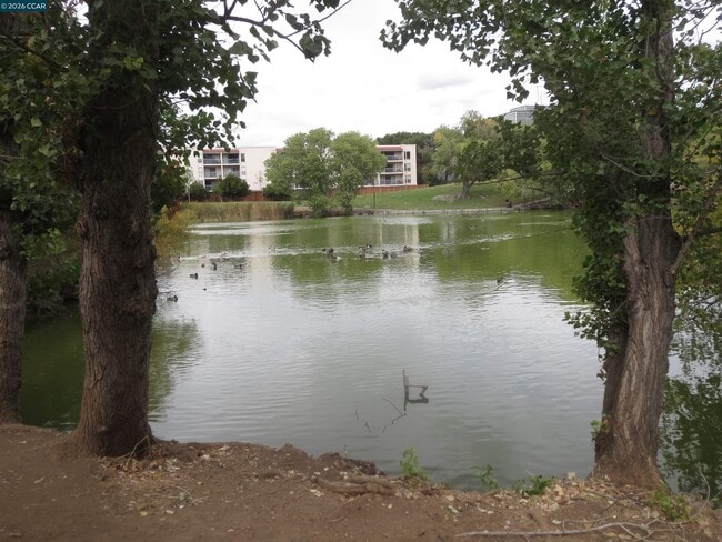 Building Photo - 1591 Ellis St