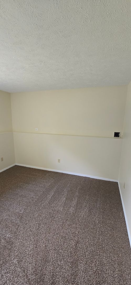 Building Photo - 3 Bedroom 1 Bath Contemporary in Amenity F...