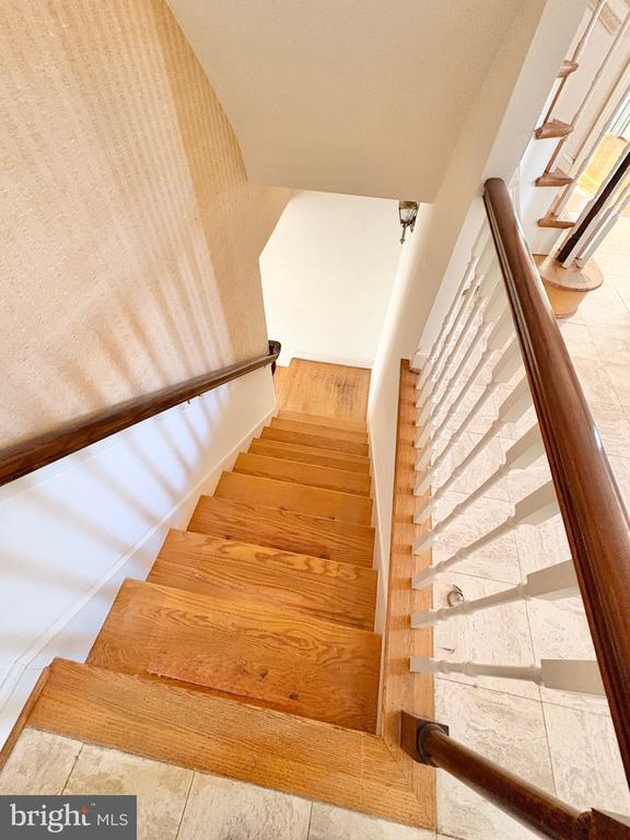 Building Photo - 513 Cathedral Dr