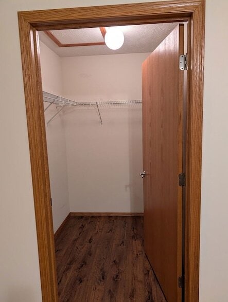 Building Photo - 1001 Wartburg Dr