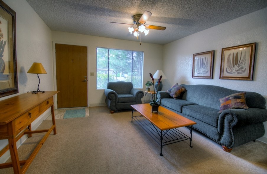 1 Bed 1 Bath Living Room - Mountain View Villa Apartments