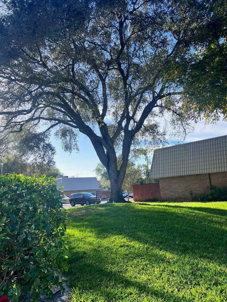 Building Photo - 1700 Embassy Dr