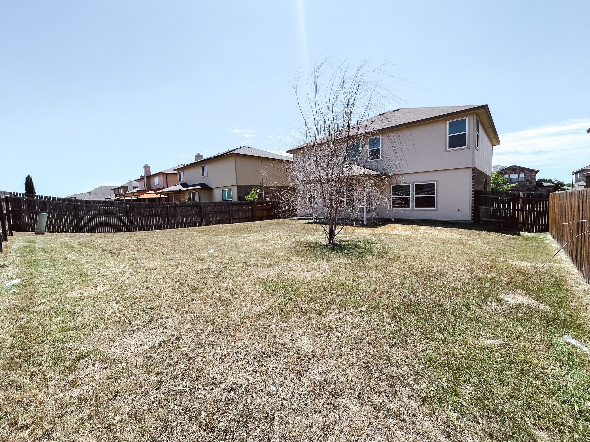 Backyard - 4904 Bridgewood Dr