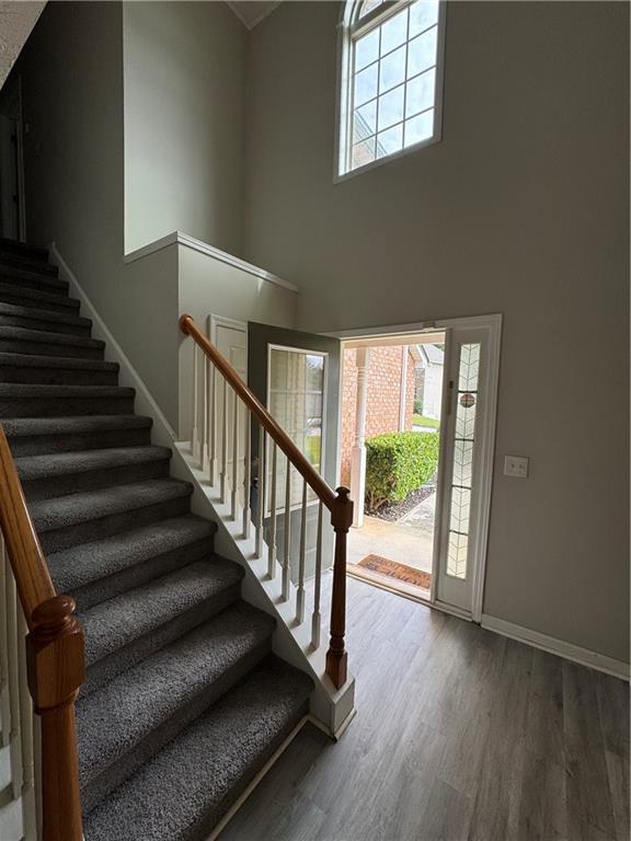 Building Photo - 1221 Oak Knoll Ct