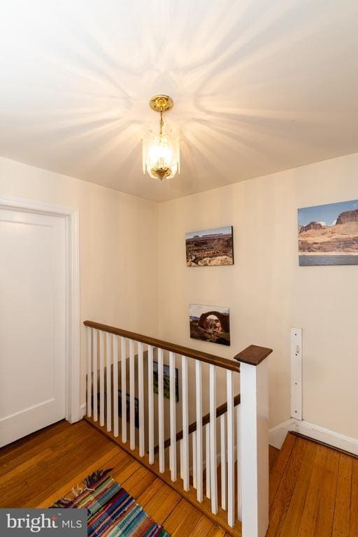 Building Photo - 52 Woodbine Rd