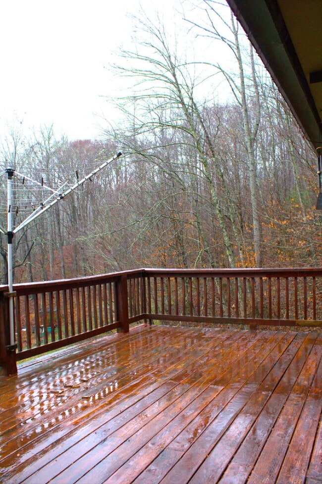 Building Photo - "Charming 2-Bed Retreat with Hardwood Elegance in Scenic Marshall, NC"