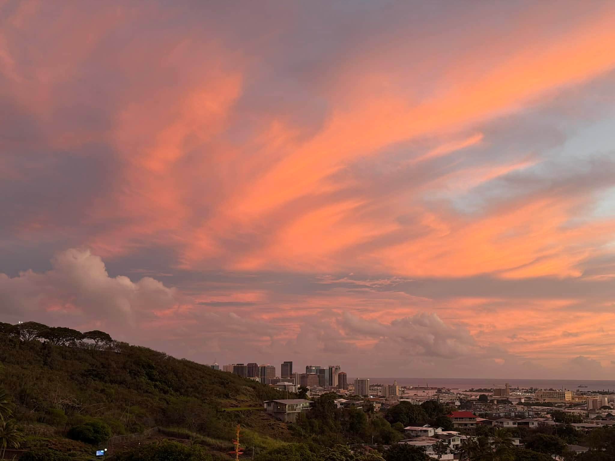 Building Photo - 1576 Elua St