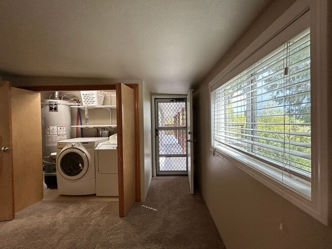 Building Photo - Stunning Views! Secluded 2 Bed, 1 Bath Gem!