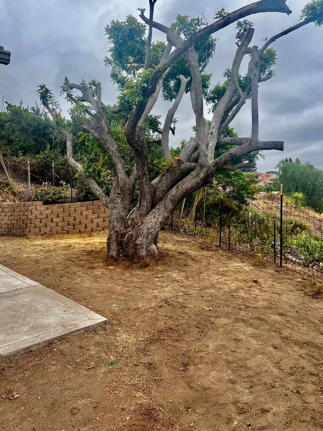 Building Photo - Hidden Gem with Views! 2 bedroom, 1 bathroom