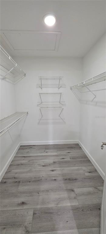 Building Photo - 11143 Bramblebrush St