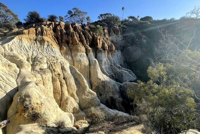 Building Photo - 4916 Long Branch Ave