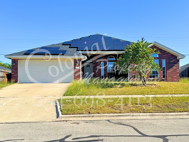 Primary Photo - NEW TO MANAGEMENT - AVAILABLE NOW