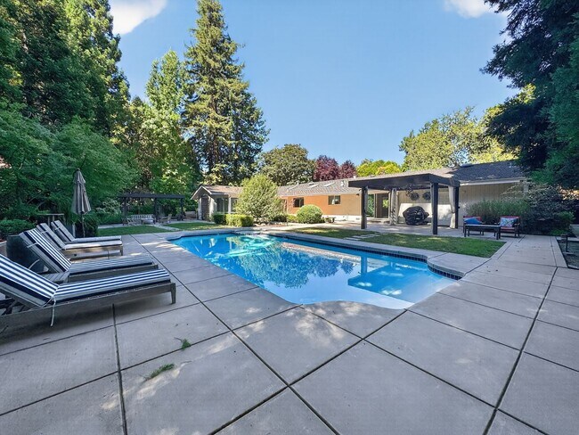 Building Photo - Gorgeous 4 Bedroom PLUS Spacious Bonus Room with Pool in Desired Alamo Neighborhood Available Now!
