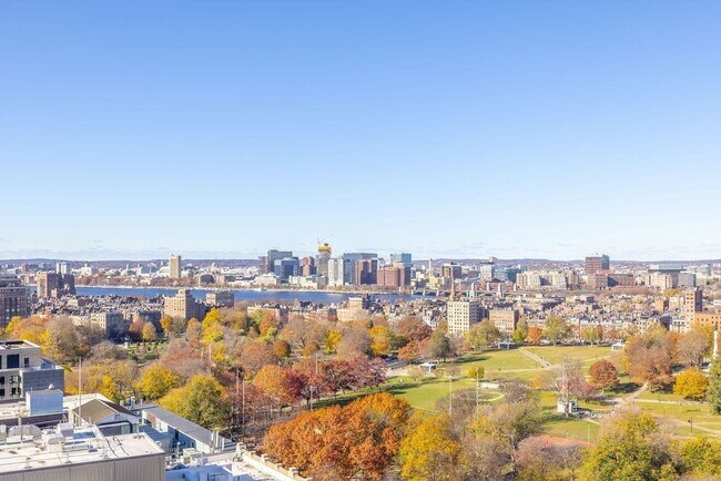 Building Photo - 55 Lagrange St