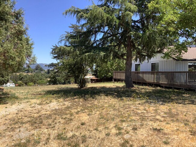 Building Photo - Sebastopol country property