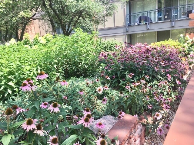 Building Photo - 6020 Oakwood Dr