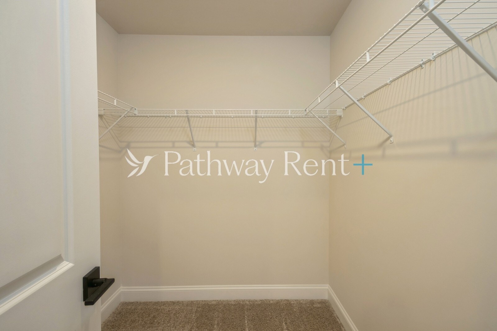 Building Photo - 123 Wembury Ln