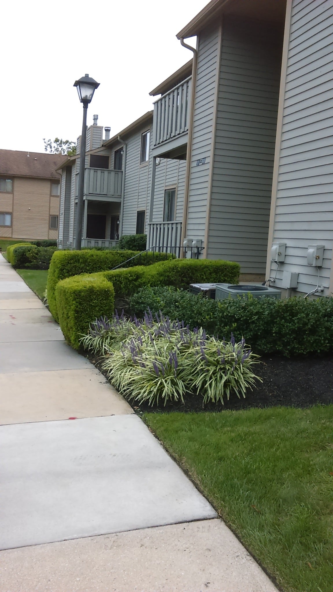 Building Photo - 608 Woodhollow Dr