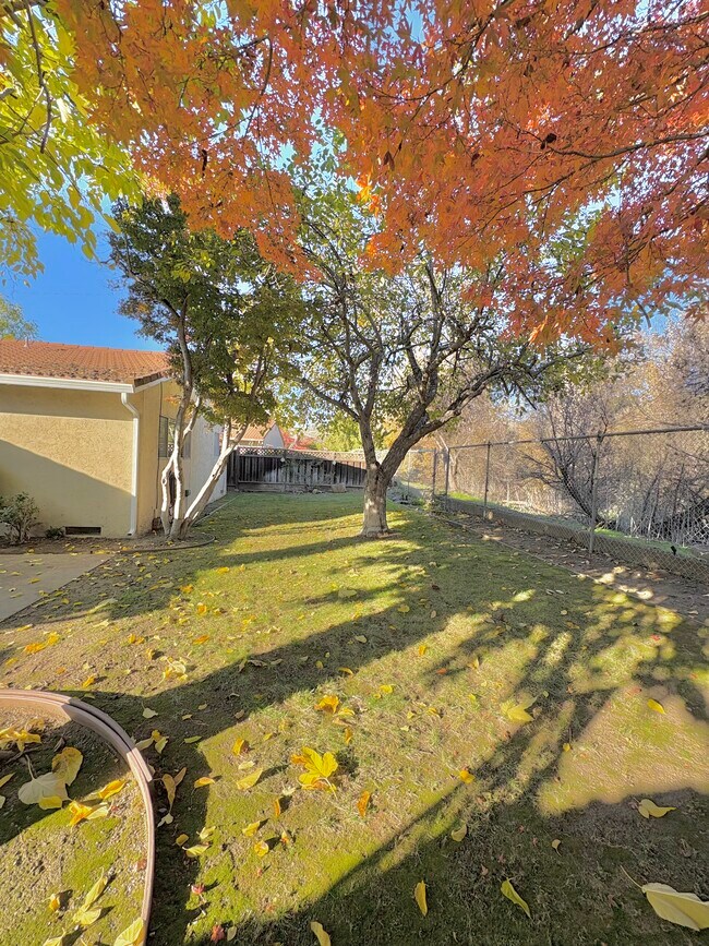 Building Photo - 959 Wallace Dr