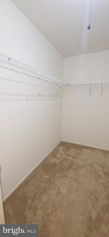 Building Photo - 15731 Pierre Ct