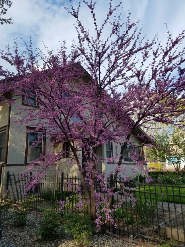 Building Photo - 1202 W Park Ave
