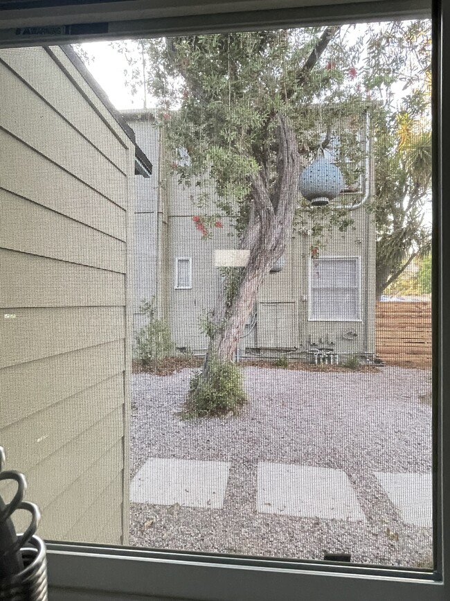 Kitchen window view onto central courtyard where laundry is - 3146 Rowena Ave