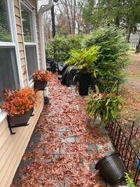 Building Photo - 76F Dorchester Dr