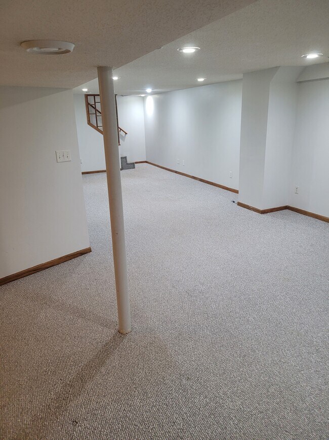 Finished Basement - 4029 Mica Trail