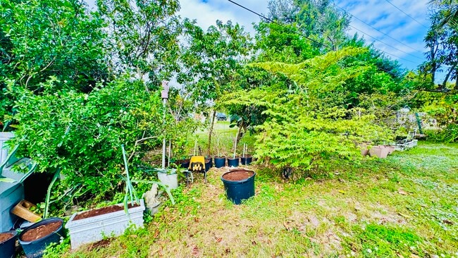 Building Photo - 347 Flagler Blvd