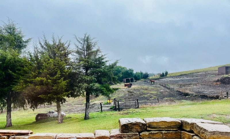 Building Photo - 13325 Brush Creek Rd