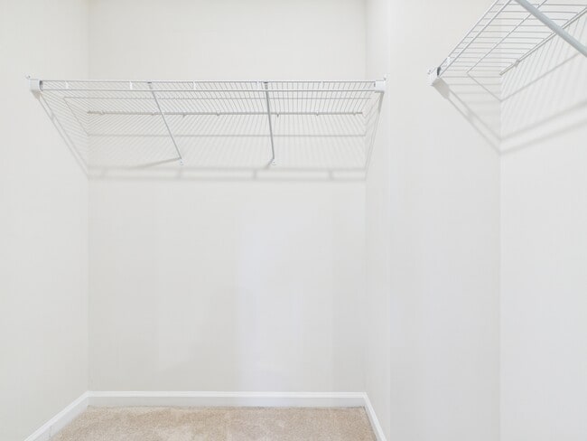 Building Photo - 5819 Soft Shell Dr