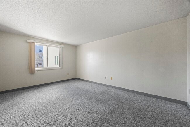 Building Photo - 15 Bower Rd