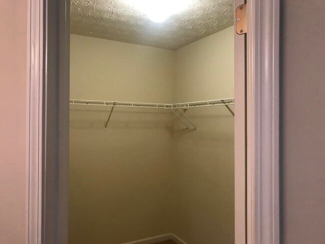 Building Photo - Spacious and Beautiful 3 Bedroom Home