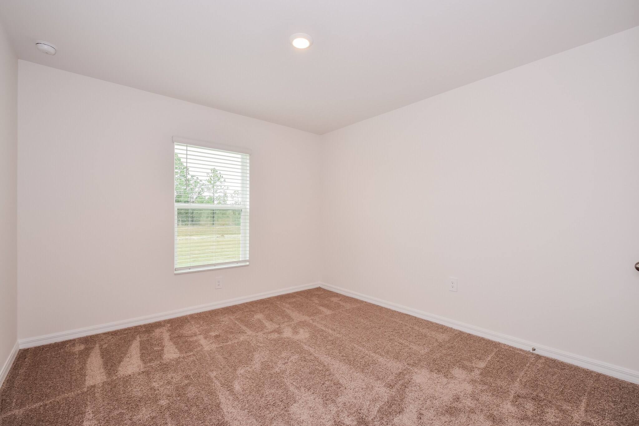 Building Photo - 879 Youngreen Dr