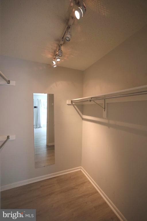Building Photo - 20979 Timber Ridge Terrace