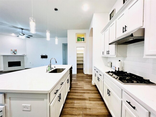 Building Photo - 3023 Dragonlet Ln