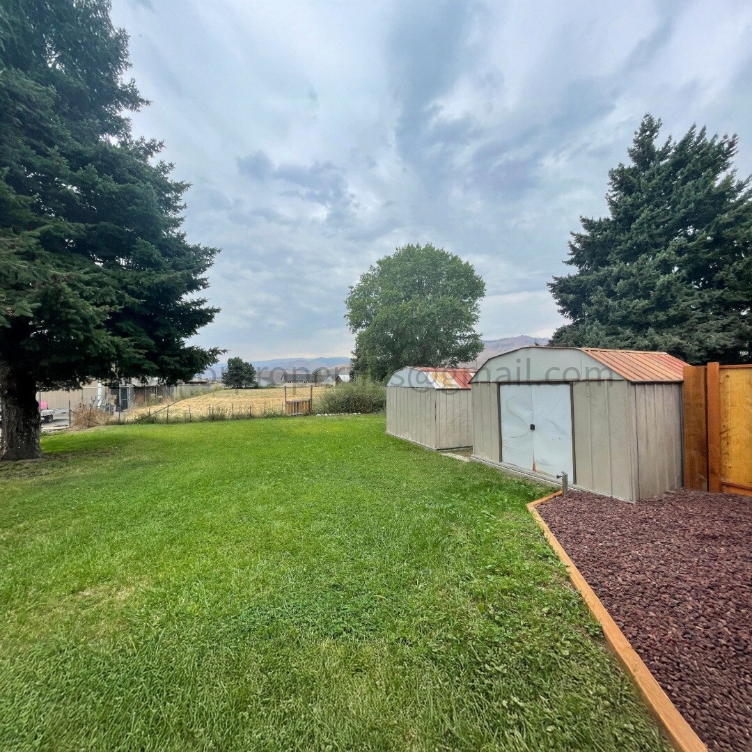 Backyard and storage shed - 703 Easy St
