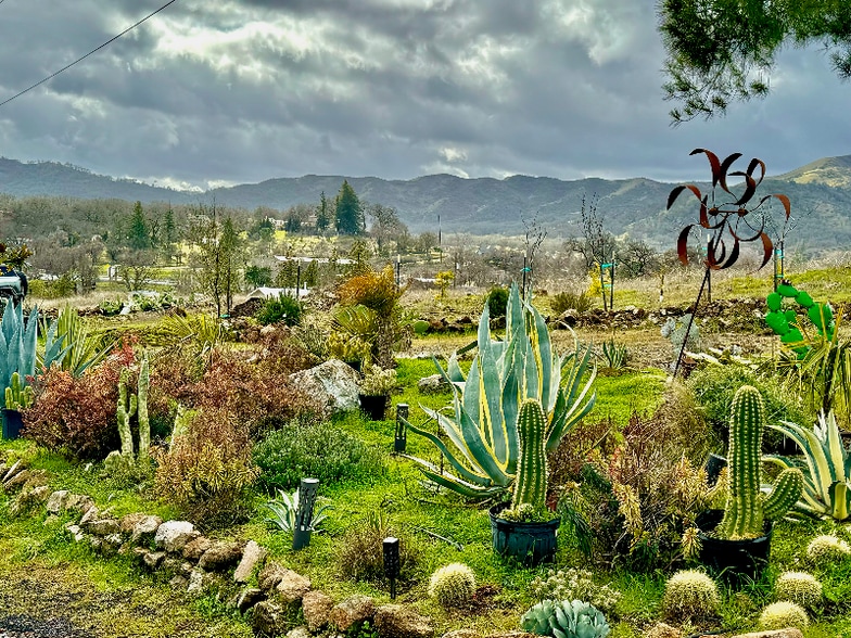 Building Photo - 300 Grace Ln