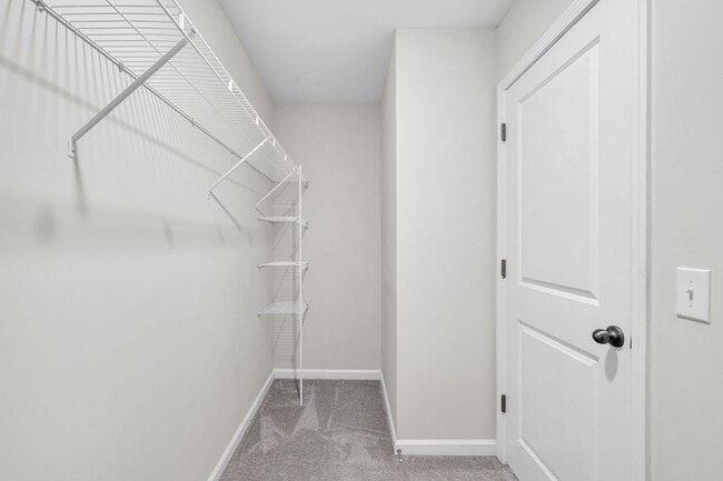 Building Photo - 4 Bedroom 3 Bath Home in Summerville!