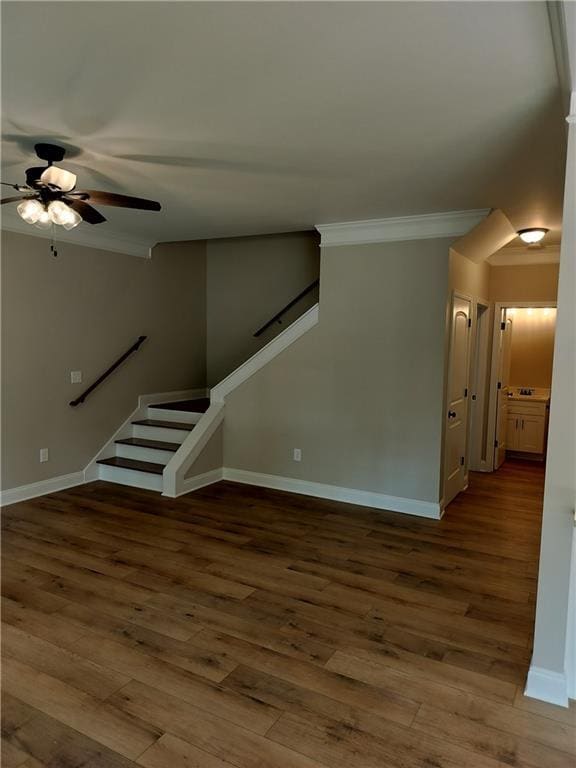 Building Photo - 41 College Heights
