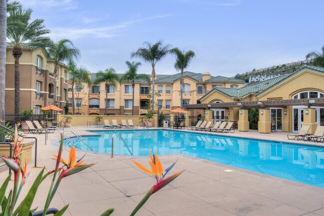 Pool - 10840 Scripps Ranch Boulevard