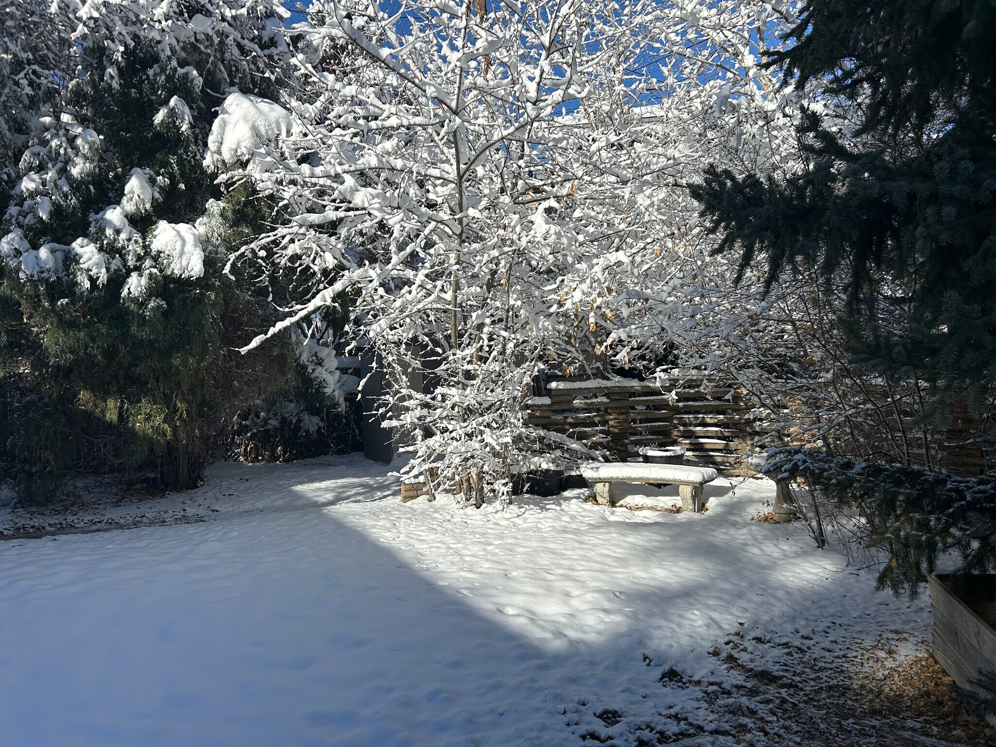 Essentially private yard - 6555 W 10th Pl