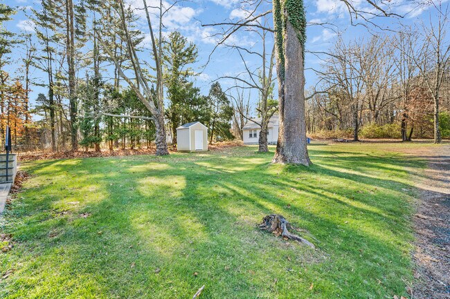 Backyard - 27 Hillcrest Rd