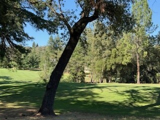 Building Photo - 18098 Chaparral Dr