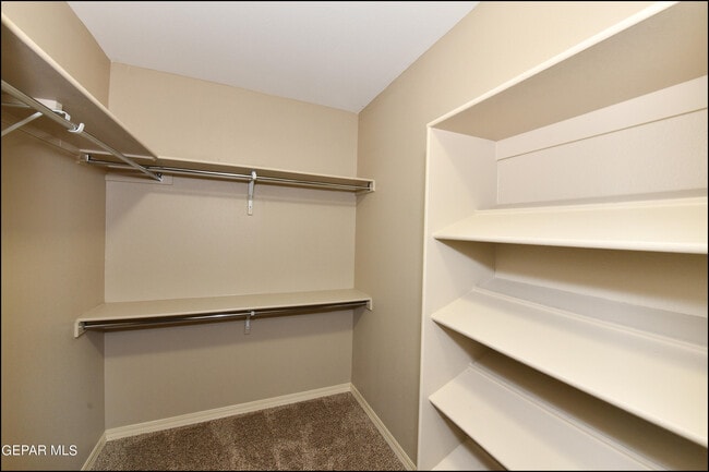 Building Photo - 3136 Red Maple