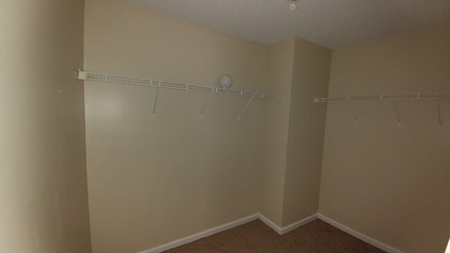 Building Photo - Great In-Law Suite Property - Master on Up...