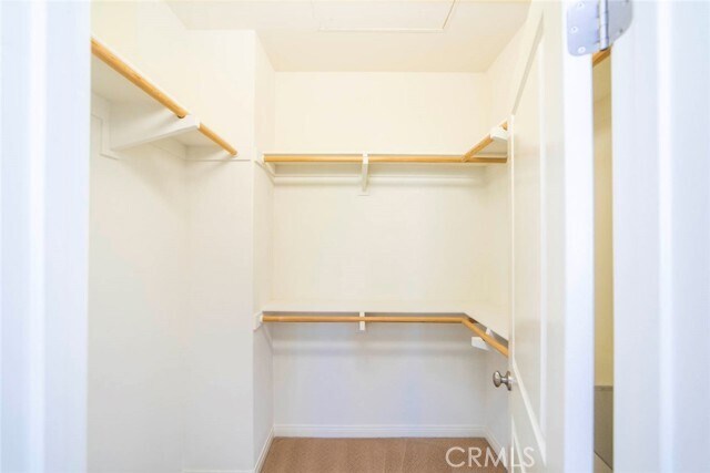Building Photo - 33 Bromeliad