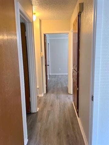 Building Photo - 806 Phillips Dr